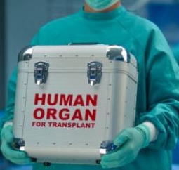 Меддеятельность, связанная с донорством органов в целях трансплантации, регламентирована законом